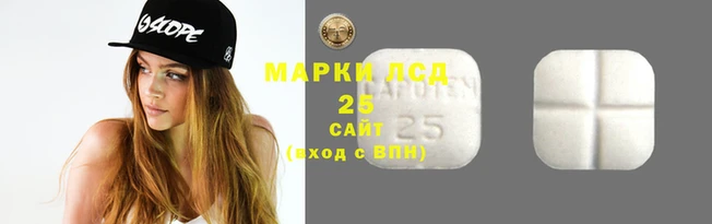 гидропоника Алзамай