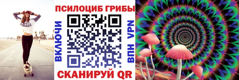 кракен зеркало  Бобров  Псилоцибиновые грибы мухоморы 